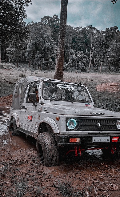 CBA：浙江男篮客场2-1力克辽宁